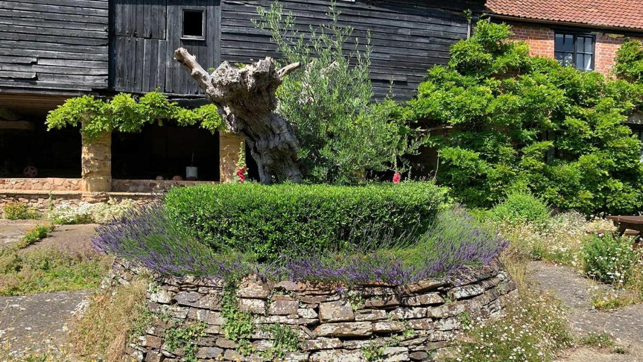 Shippen Cottage - Perfect For Couples Or Families Sidmouth Kültér fotó
